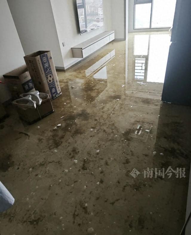 乐鱼中国婚房被粪水浸泡！业主瓦解：全屋都是没法承受